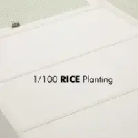 Постер аниме «1/100 посадка риса»