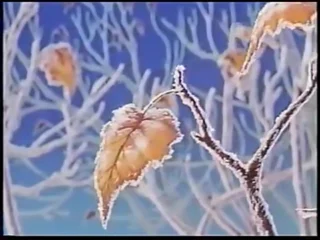 Кадр 2 из аниме «Прогулки по снегу»