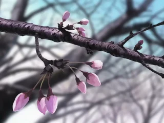 Кадр 1 из аниме «Любовь и Хина: Спецвыпуск»