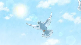Кадр 1 из аниме «Я нашёл голубое перо! Поищем знакомых птиц 1 сезон»
